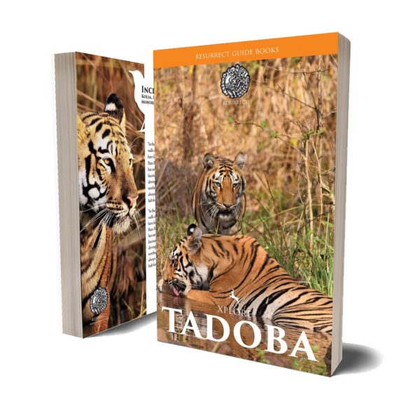 Xplore Tadoba Guidebook